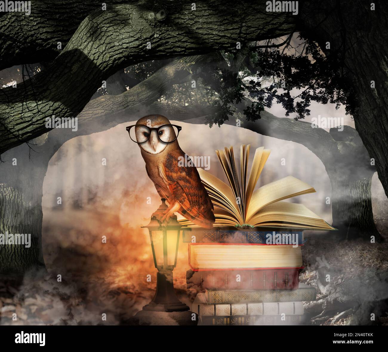 Beautiful wise owl near books in fantasy world Stock Photo Alamy
