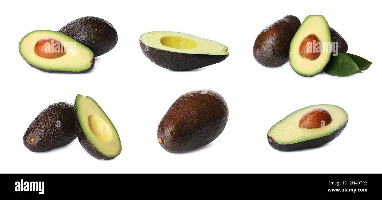 Set of ripe avocados on white background. Banner design Stock Photo - Alamy