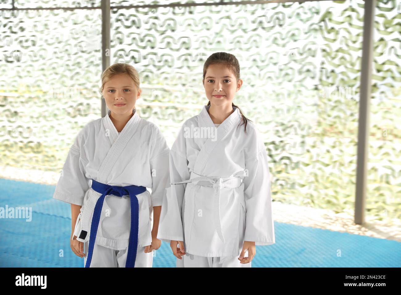 Children in kimono during karate practice on tatami outdoors Stock Photo -  Alamy