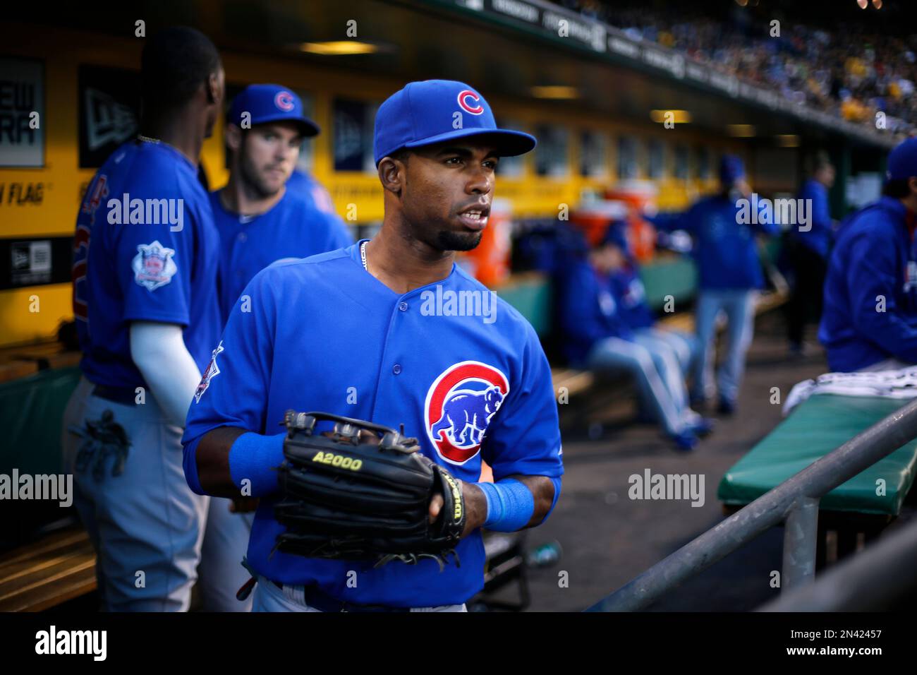Chicago Cubs center fielder Arismendy Alcantara takes the field at PNC