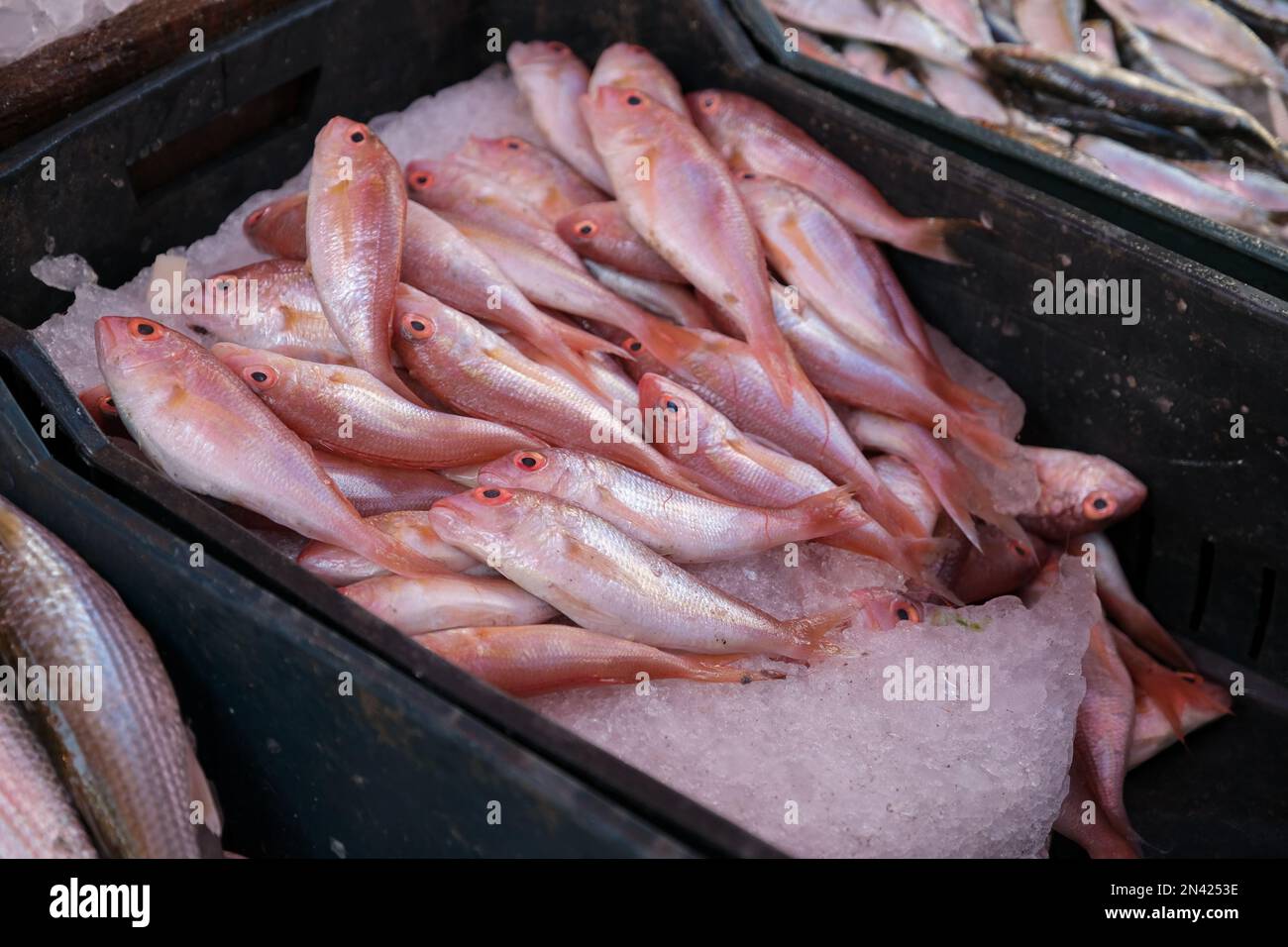 Fish catch box hi-res stock photography and images - Alamy