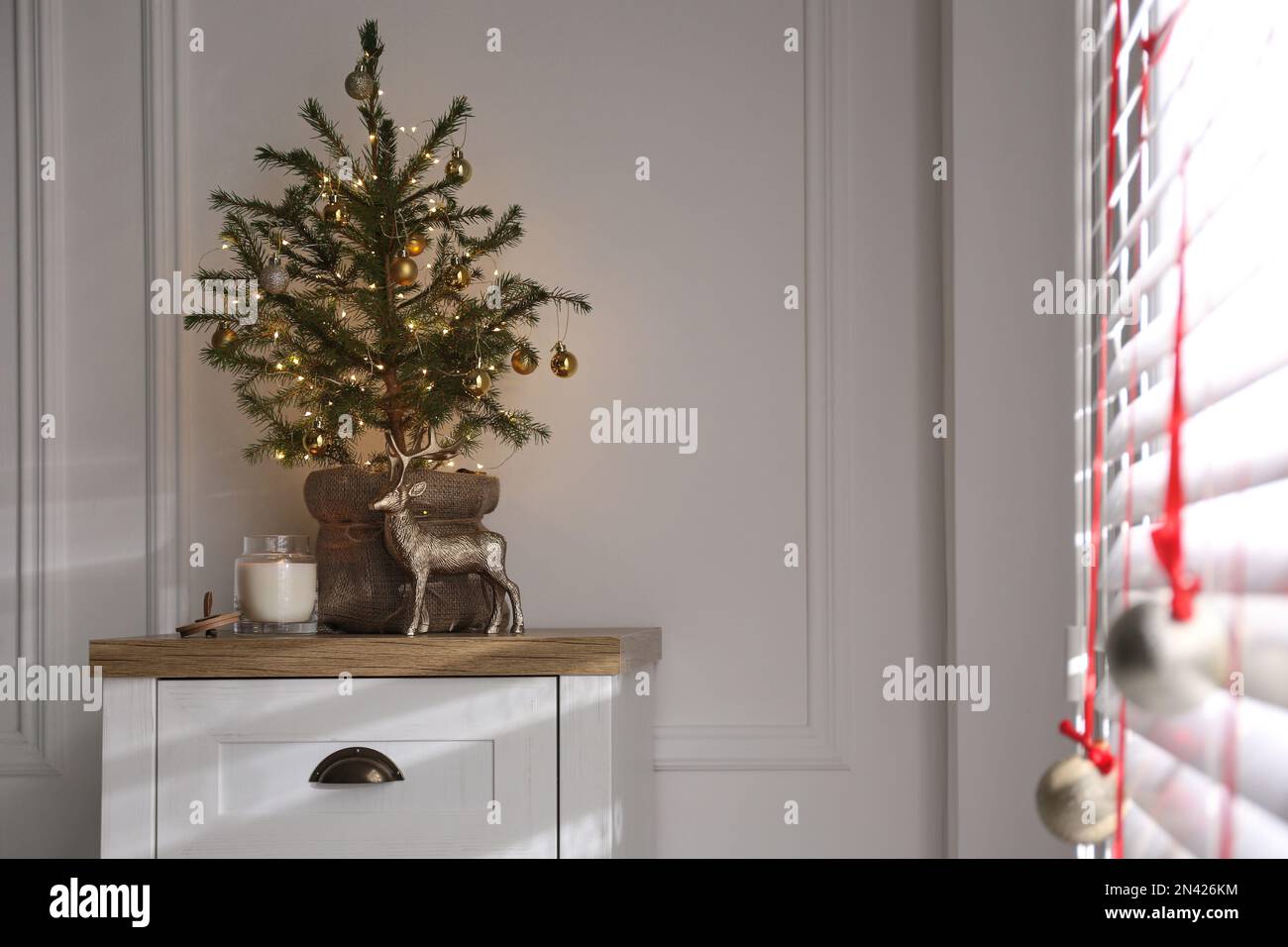 Chest of drawers with potted fir in room. Interior design Stock Photo ...