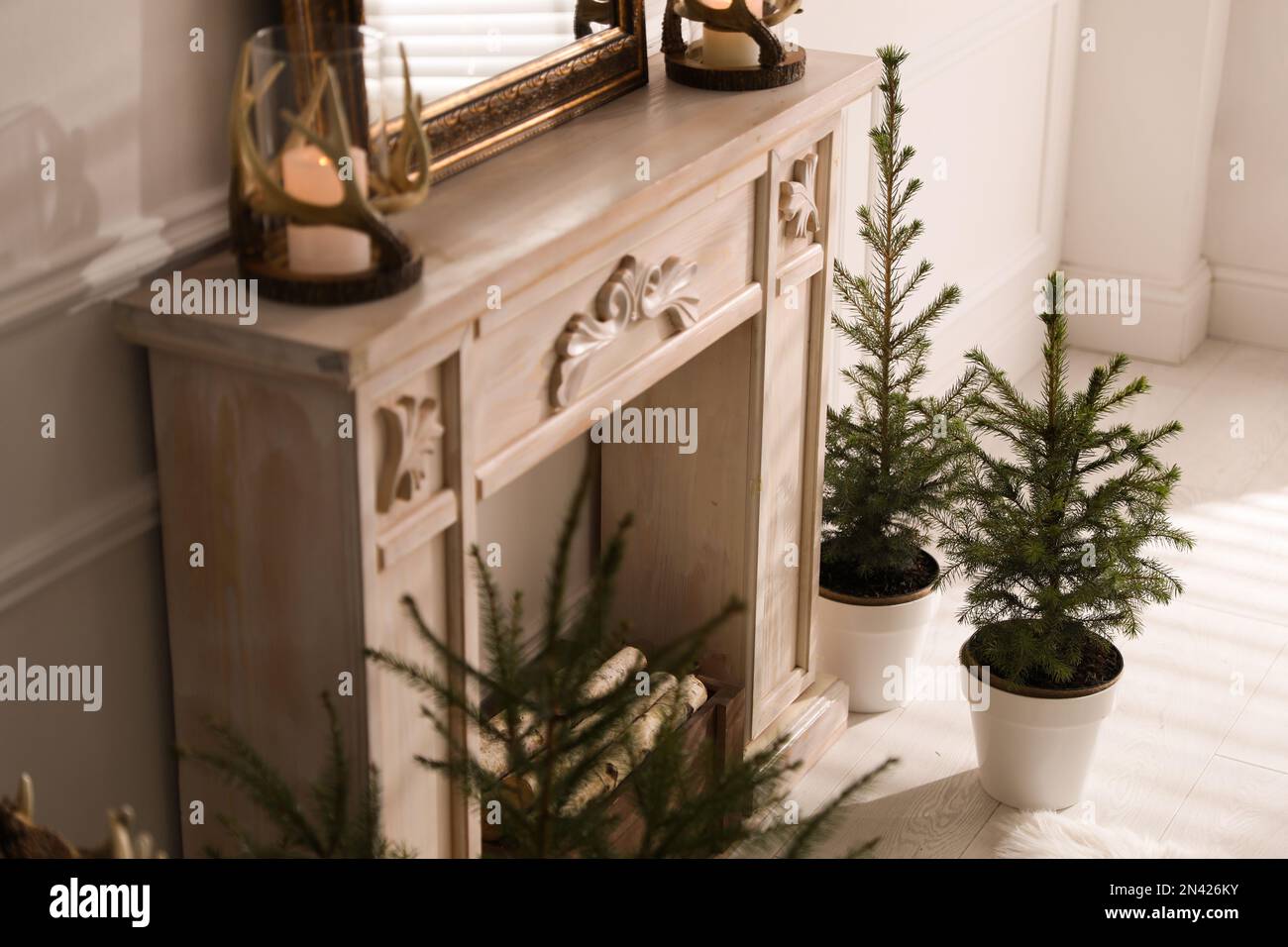 Beautiful room interior with potted fir trees and fireplace Stock Photo ...
