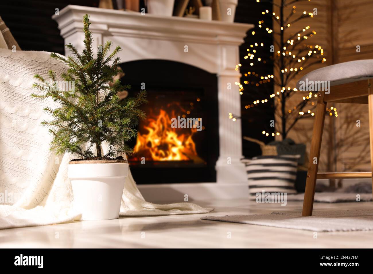 Beautiful room interior with potted fir tree and fireplace Stock Photo ...