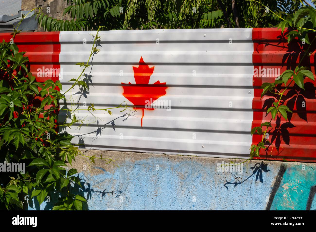 The concept of national flag on metal container pattern background ,Canada. Stock Photo