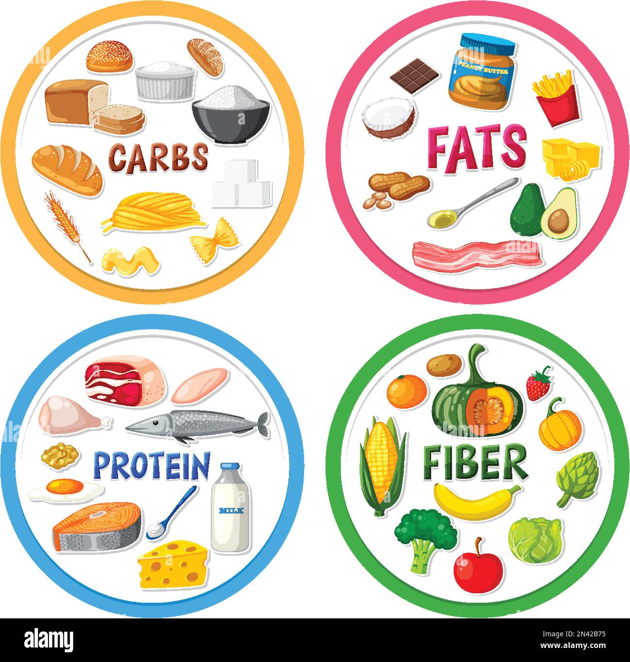 Protein Food Groups Stock Vector Images Alamy group-meals-four-food-groups-food