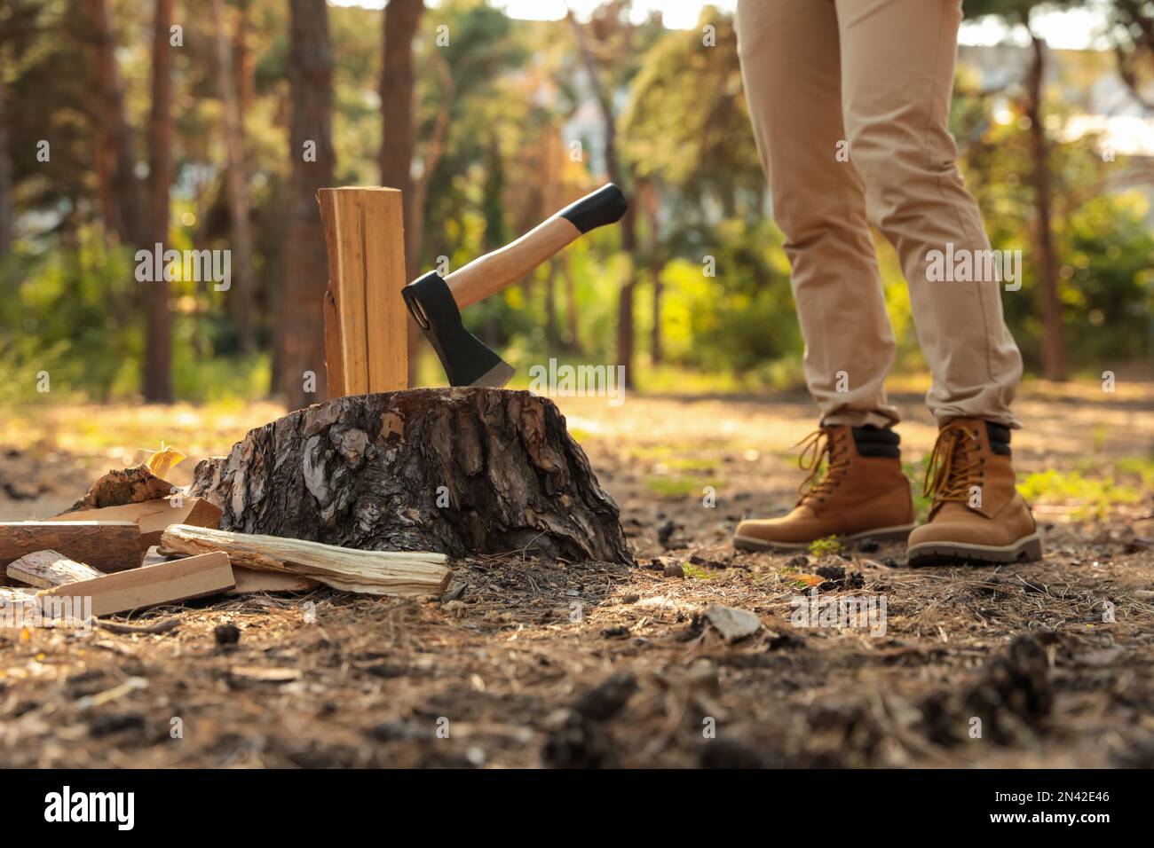 Man tree with axe photography and images - Page 3 - Alamy