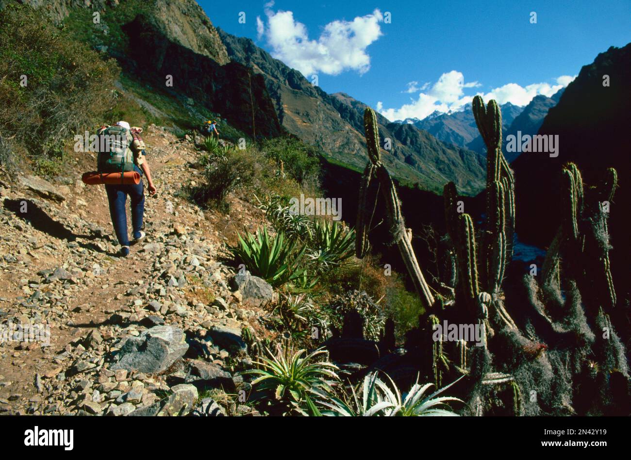 Hiking the Inca Trail, Peru Stock Photo Alamy