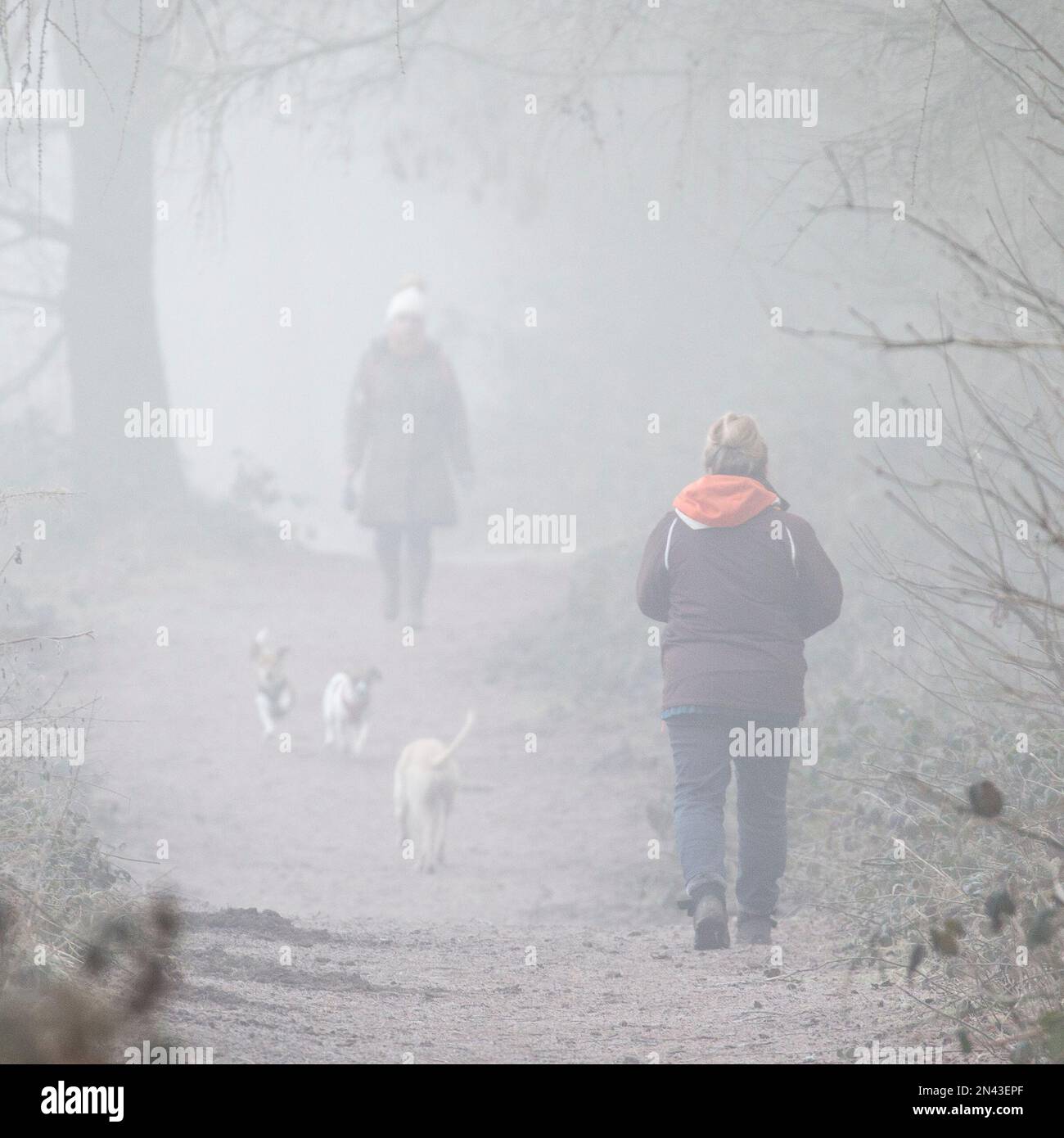 Doggy coats hires stock photography and images Alamy
