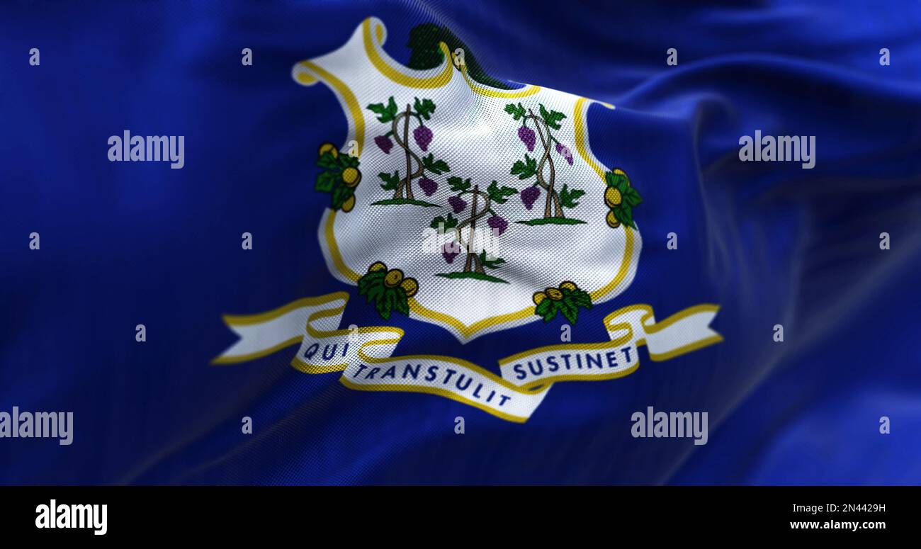 Close-up view of the Connecticut state flag fluttering. White shield on blue background featuring three grapevines each bearing bunches of grapes. Tex Stock Photo