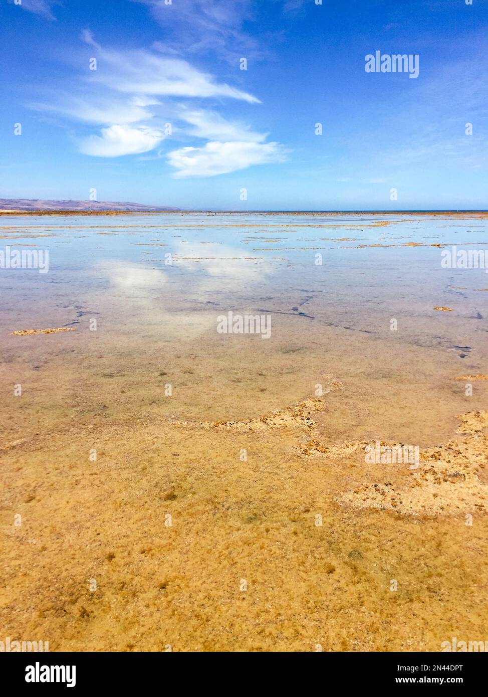 Stunning blue sky and cloud reflections along the coastline of the beach with the reef underlying the crystal clear water Stock Photo