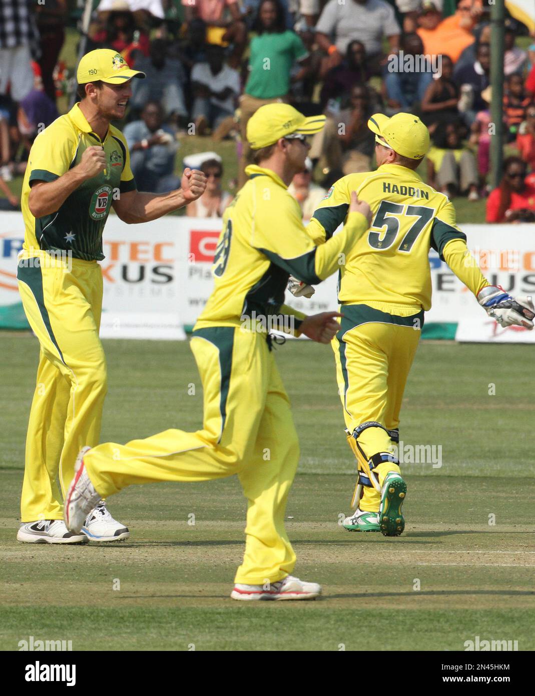 Australian cricket players celebrate the wicket of Zimbabwean batsman