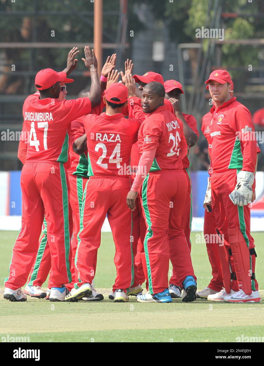 Zimbabwean players celebrate the wicket of Australian batsman Phil