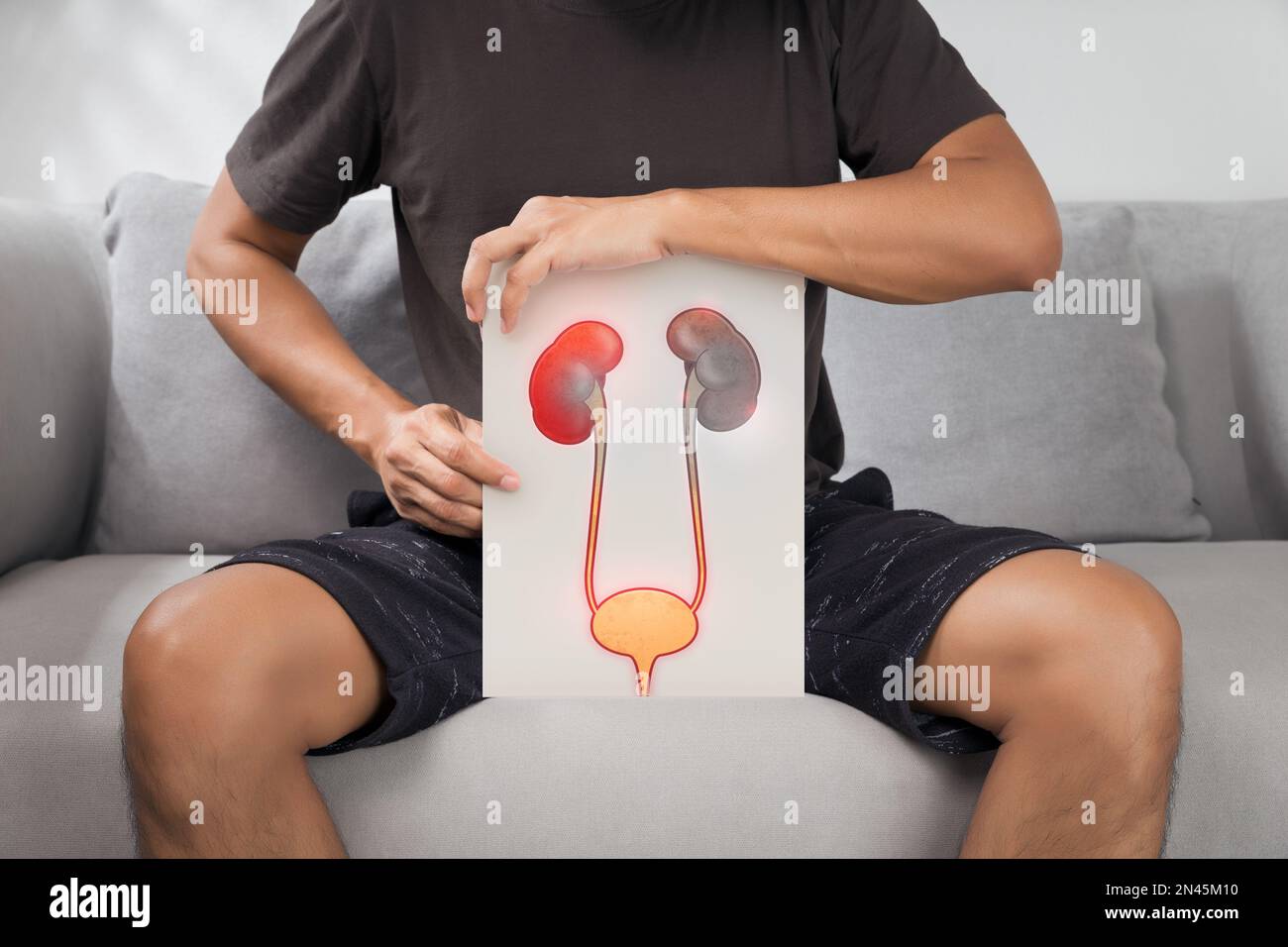 Man holding white paper with pictures of urethra and kidneys. Acute