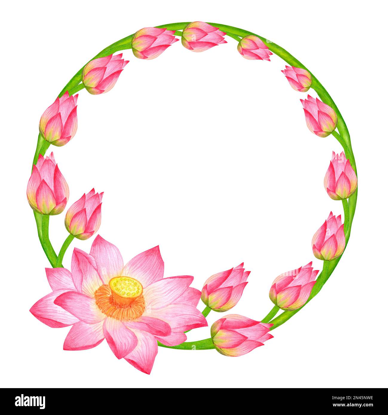 Round frame wreath of rose buds and lotus flower and green stem. Tropical plant of Asia. Hand-drawn watercolor illustration isolated on white backgrou Stock Photo