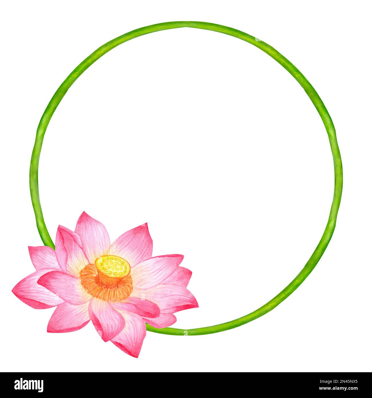 Round frame wreath of rose buds and lotus flower. Tropical plant of Asia. Hand-drawn watercolor illustration isolated on white background. Stock Photo