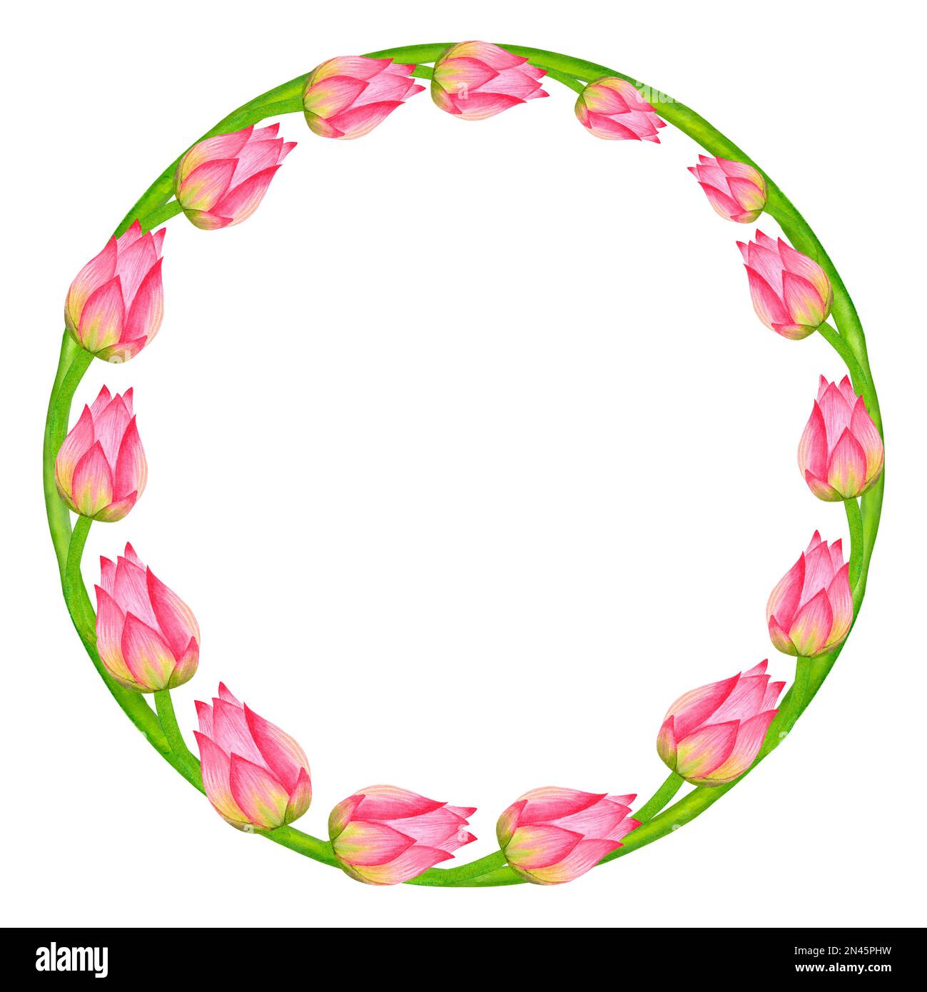 Round frame wreath of pink lotus buds and green stem. Tropical plant of Asia, sacred in Buddhism. Hand-drawn watercolor illustration isolated on white Stock Photo
