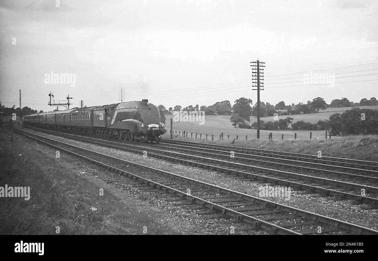 Gresley LNER A4 Class Pacific 462 steam No.4484 'Falcon
