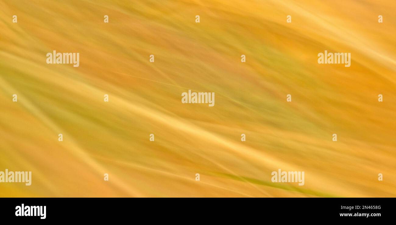 Yellow Abstract Horizontal Background Stock Photo