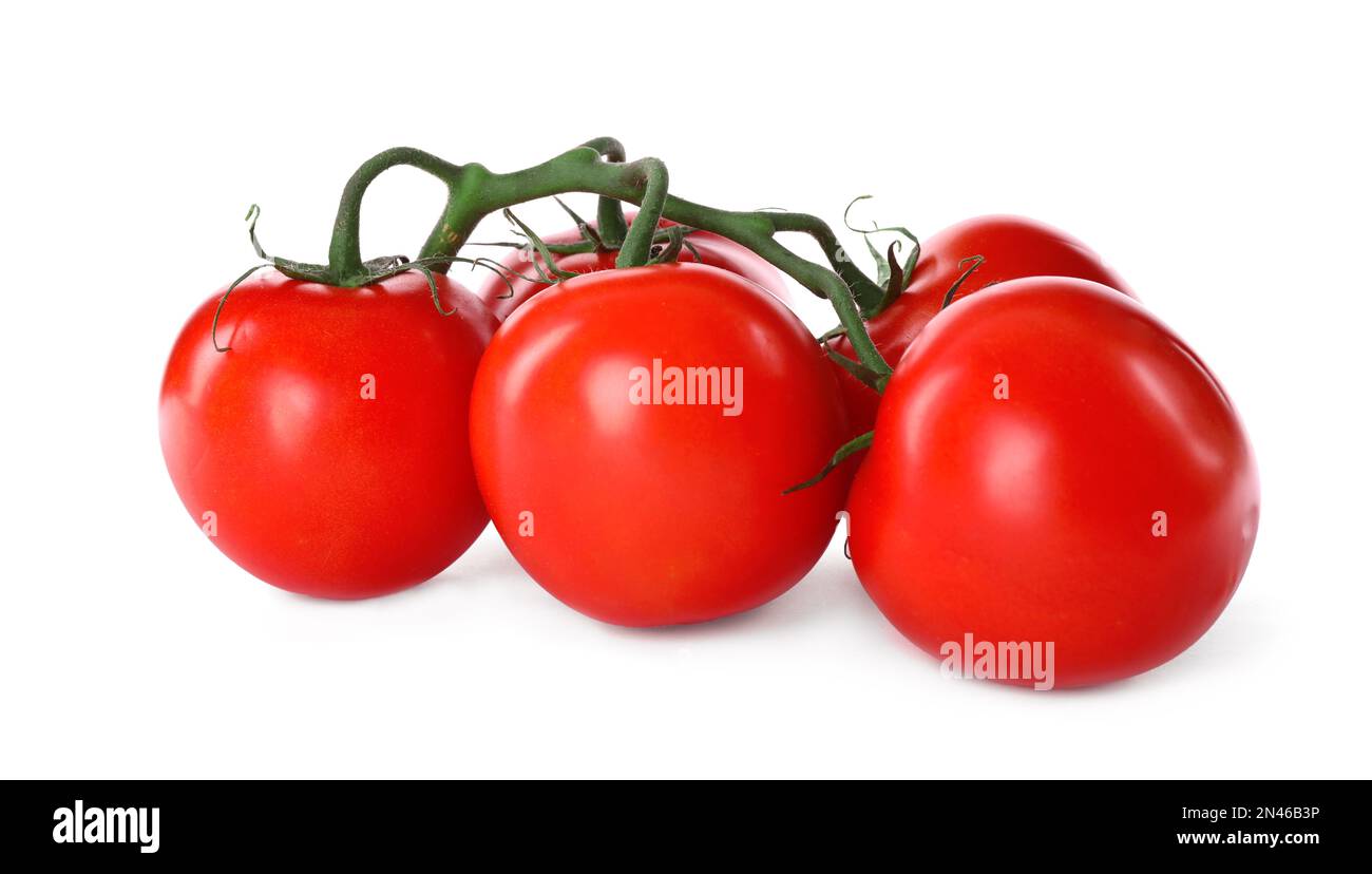 Branch of fresh cherry tomatoes isolated on white Stock Photo - Alamy