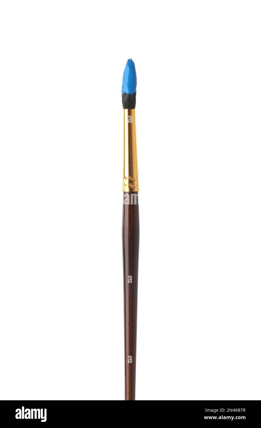 Brush with light blue paint isolated on white Stock Photo Alamy