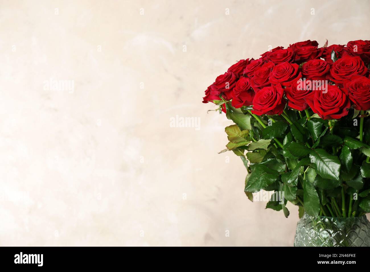 Luxury bouquet of fresh red roses on beige background, space for text ...