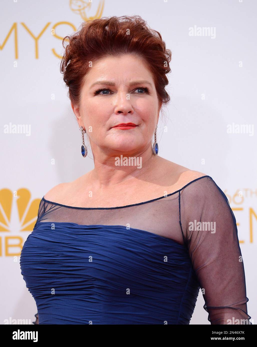 Kate Mulgrew arrives at the 66th Annual Primetime Emmy Awards at the ...