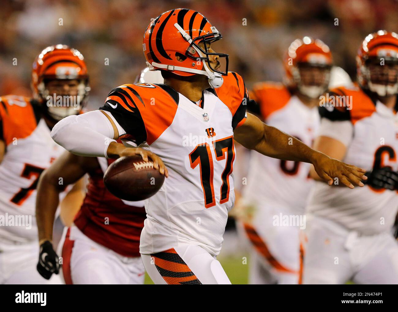 Cincinnati Bengals quarterback Jason Campbell (17) looks to pass against  the Arizona Cardinals during the second