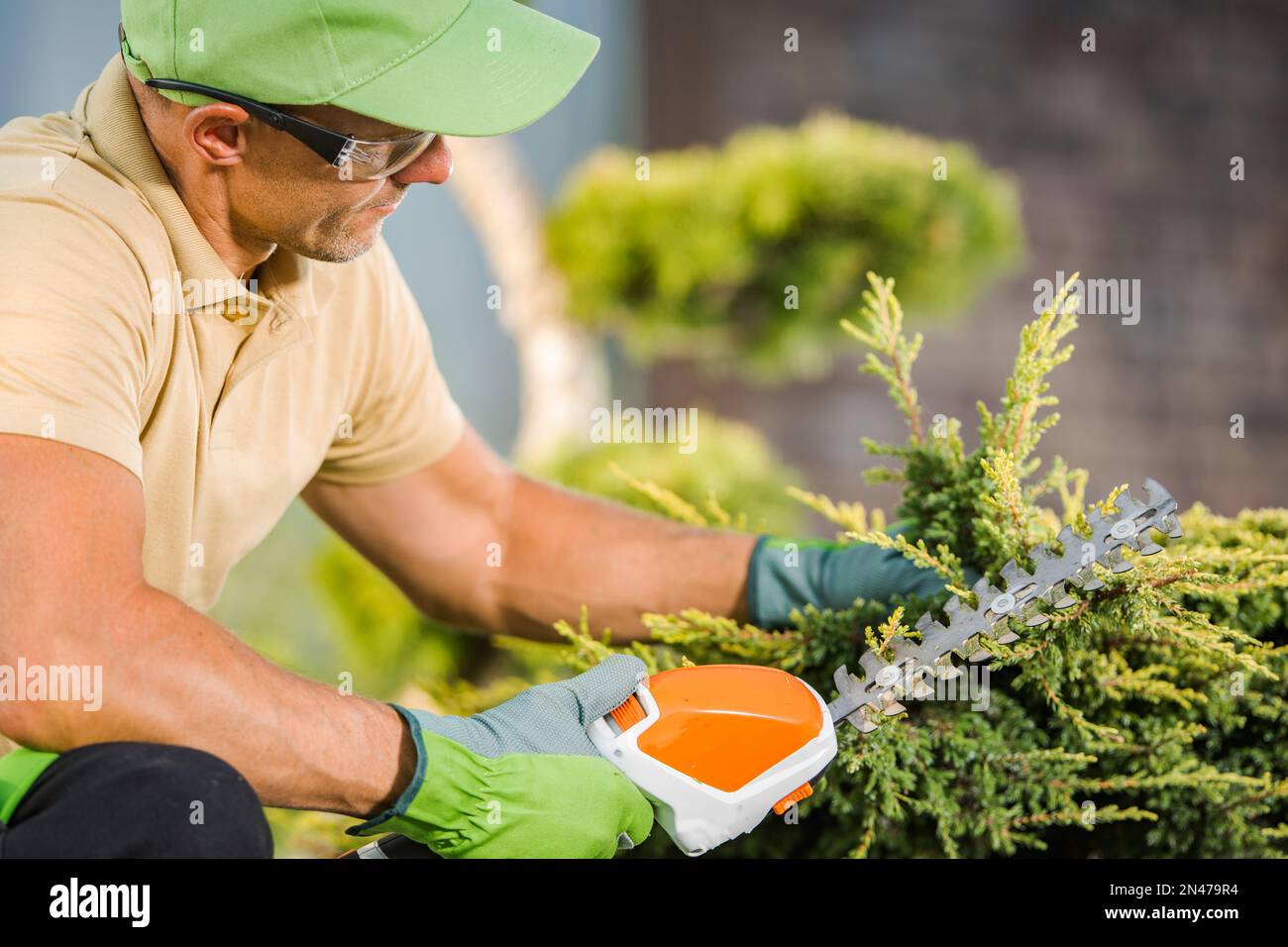 Gardening and Landscaping Theme. Caucasian Gardener in His 40s Trimming ...