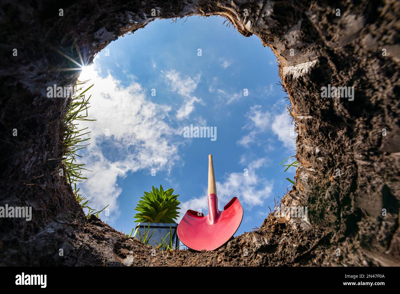 Looking up from hole in ground while planting flowers. Flower garden, gardening and yardwork concept Stock Photo