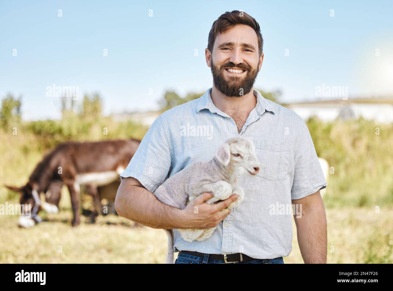 Farmer, portrait or baby lamb on livestock agriculture, countryside environment or nature in sheep growth management. Happy, farming or man and mutton Stock Photo