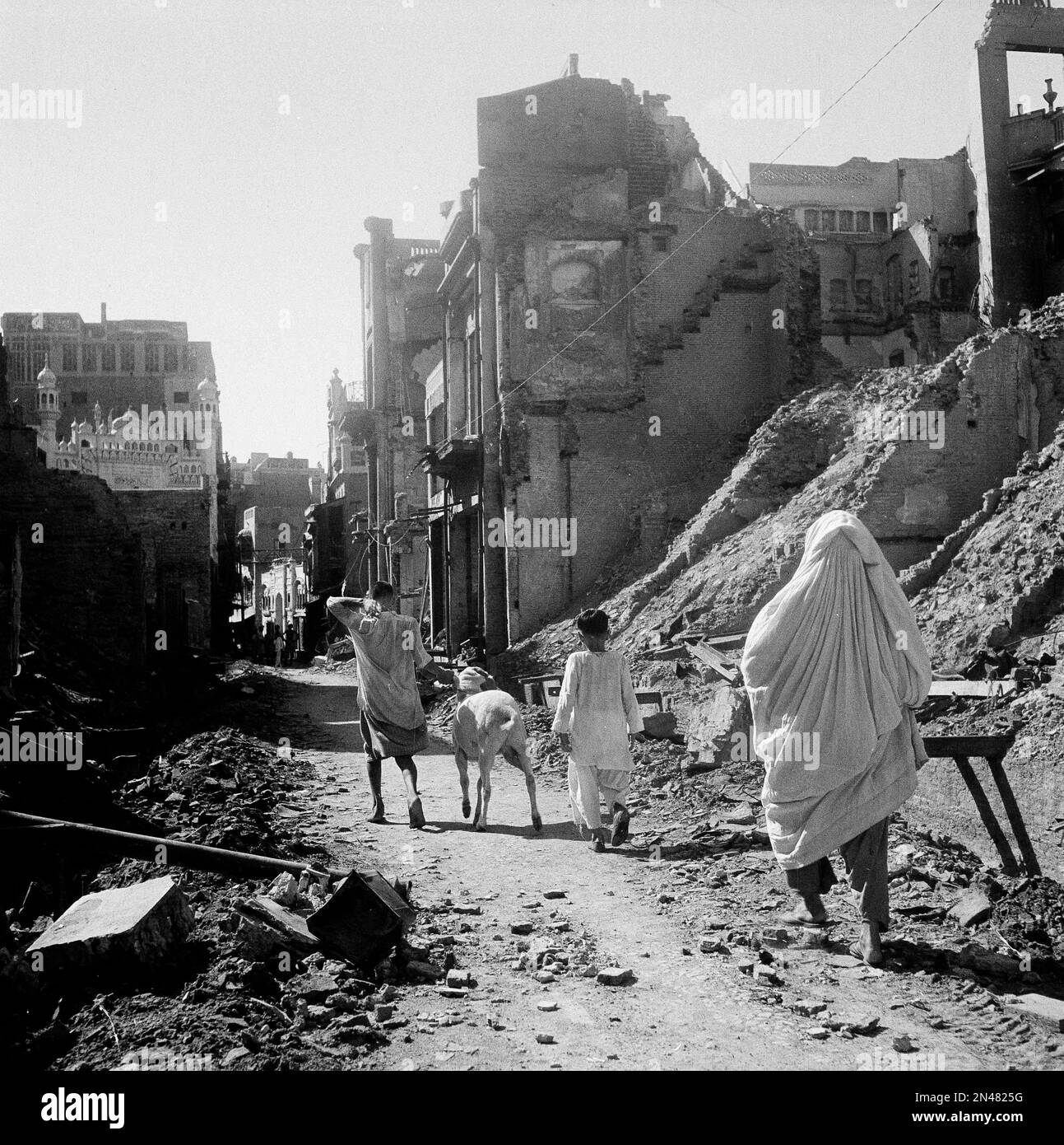 A displaced family leading their goat, files down a fire-blackened ...