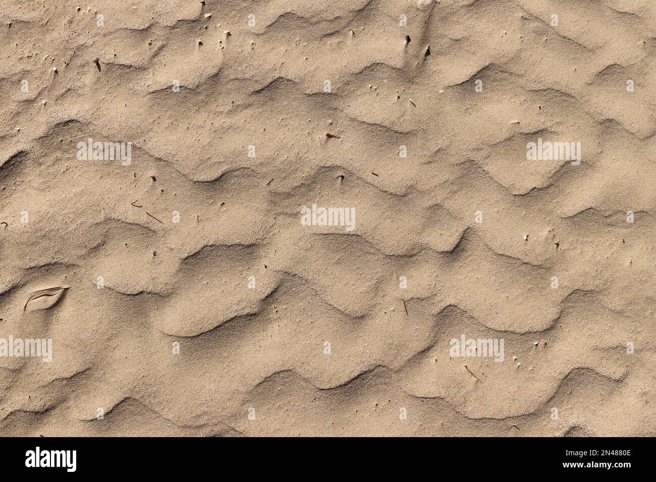 Detail of fine sand on the beach Stock Photo Alamy