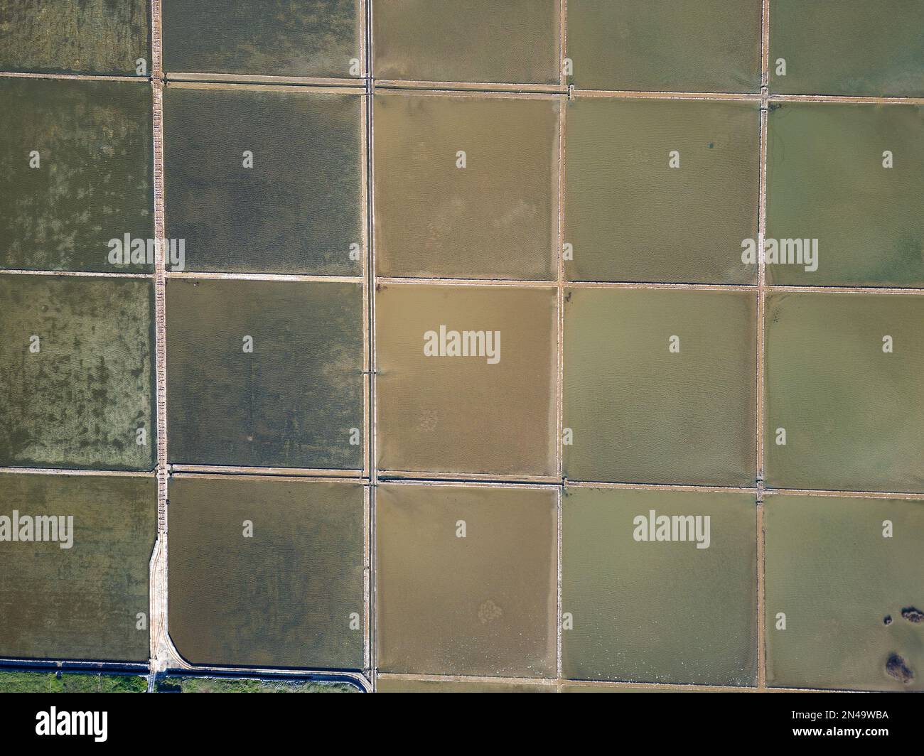 Aerial drone view of Salt Fields in Solana Pag, the largest sea-salt producer in Croatia, and its operations are based on a thousand-year tradition. Stock Photo