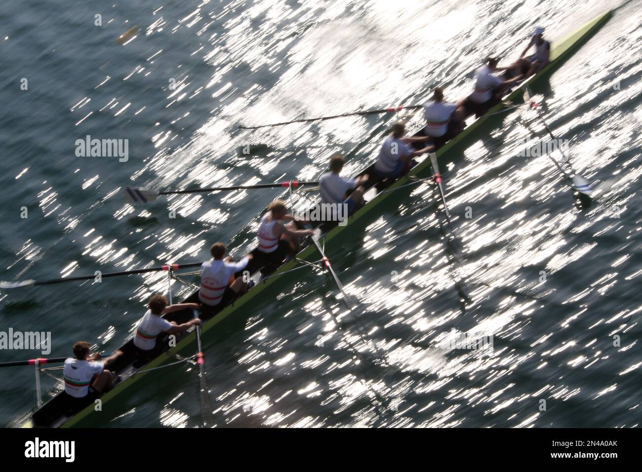 Rowing competition in Cologne Stock Photo