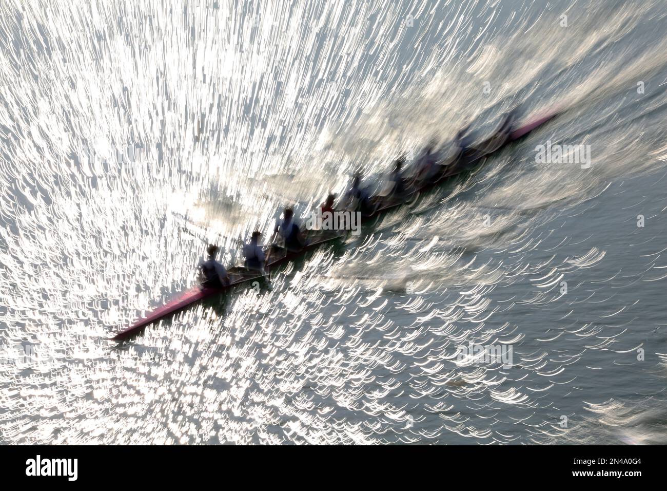 Rowing competition in Cologne Stock Photo