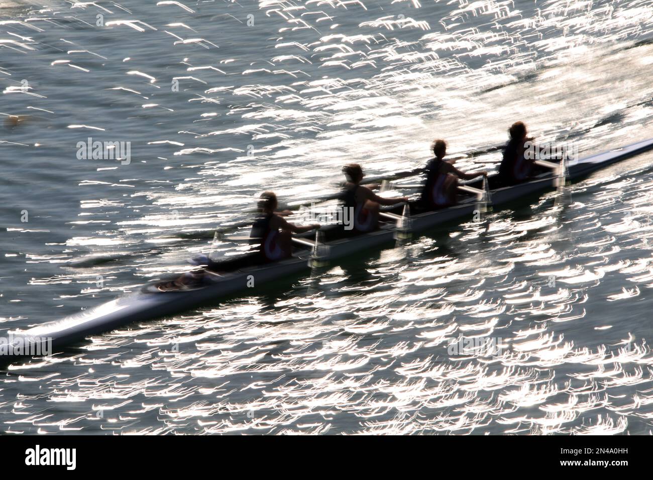 Rowing competition in Cologne Stock Photo