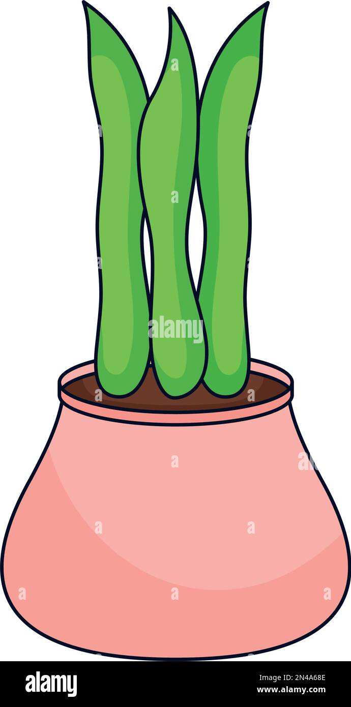 houseplant in pink pot Stock Vector Image & Art - Alamy