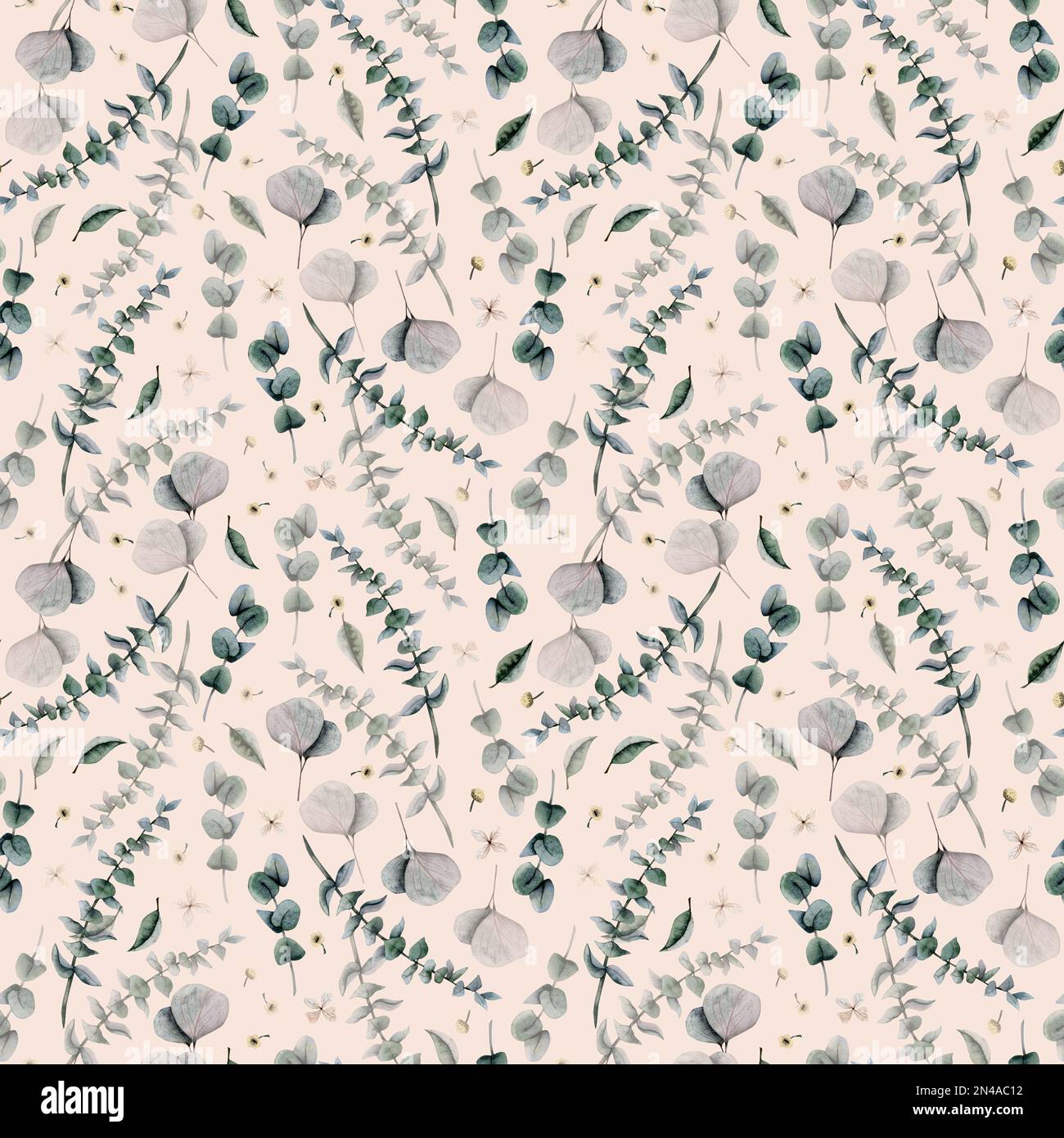 Watercolor eucalyptus silver dollar branches, leaves, foliage seamless pattern on light beige background. Stock Photo