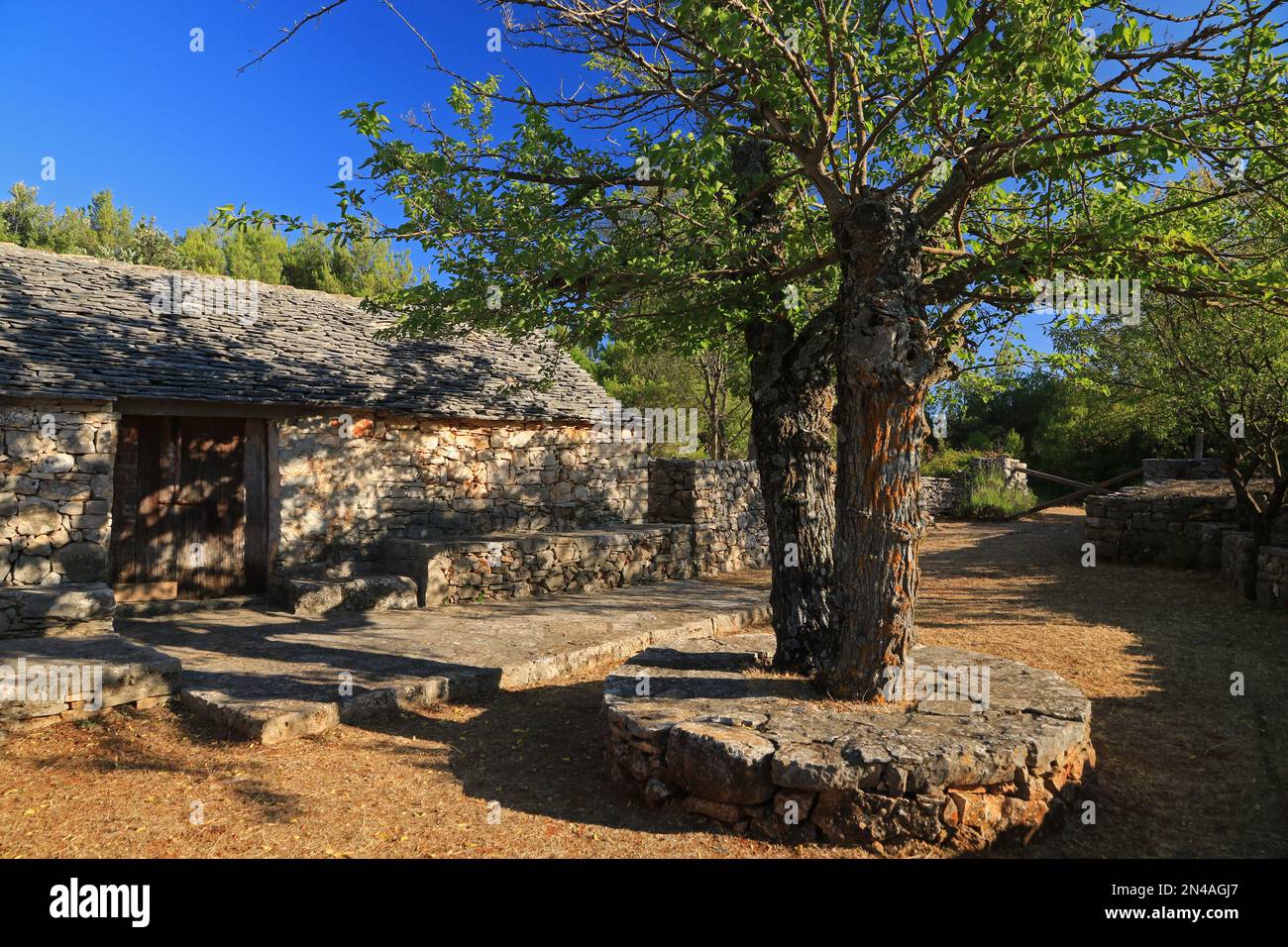 Humac, ghost village, abandoned village on Hvar island, Croatia Stock ...