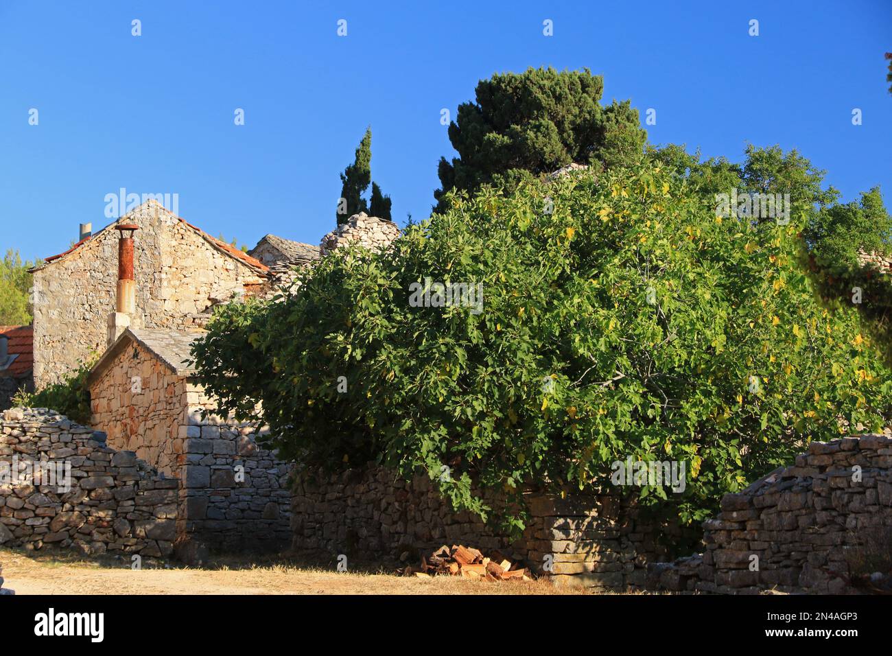 Humac, ghost village, abandoned village on Hvar island, Croatia Stock ...