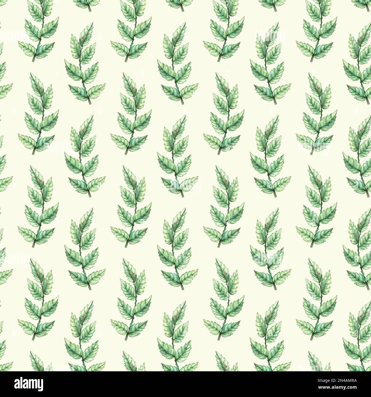 Watercolor green pattern with sprigs of leaves. Botanical pattern to decorate packaging, wallpapers, fabrics, prints, etc. Stock Photo