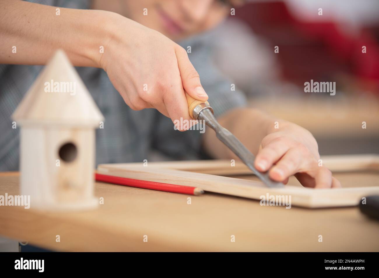 carpenter building bird nest in his workshop Stock Photo