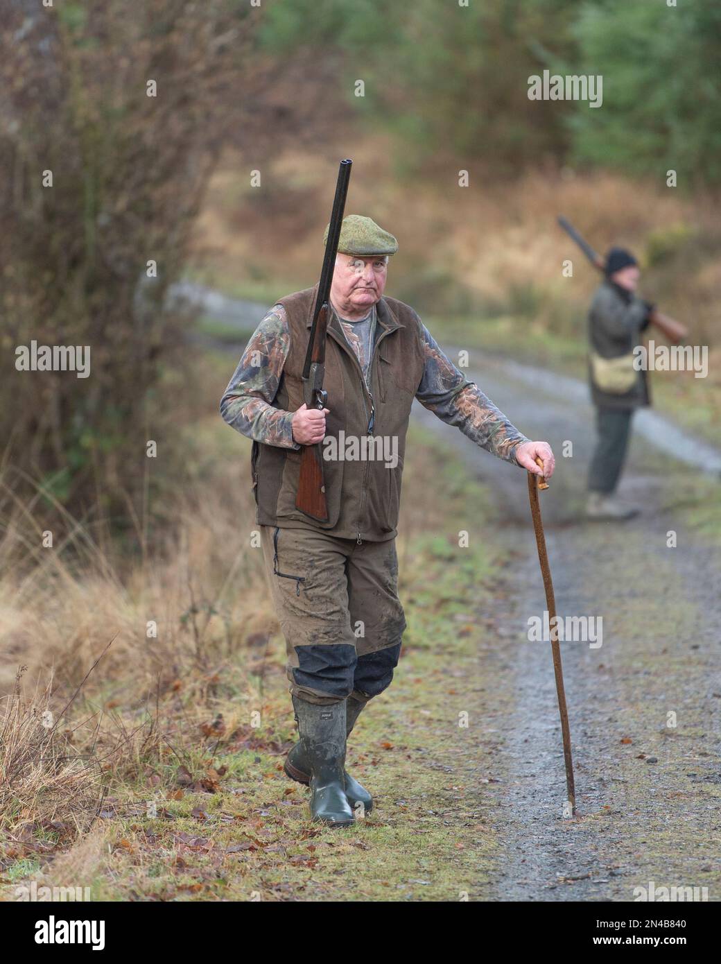 man with shotgun on a pheasant shoot Stock Photo