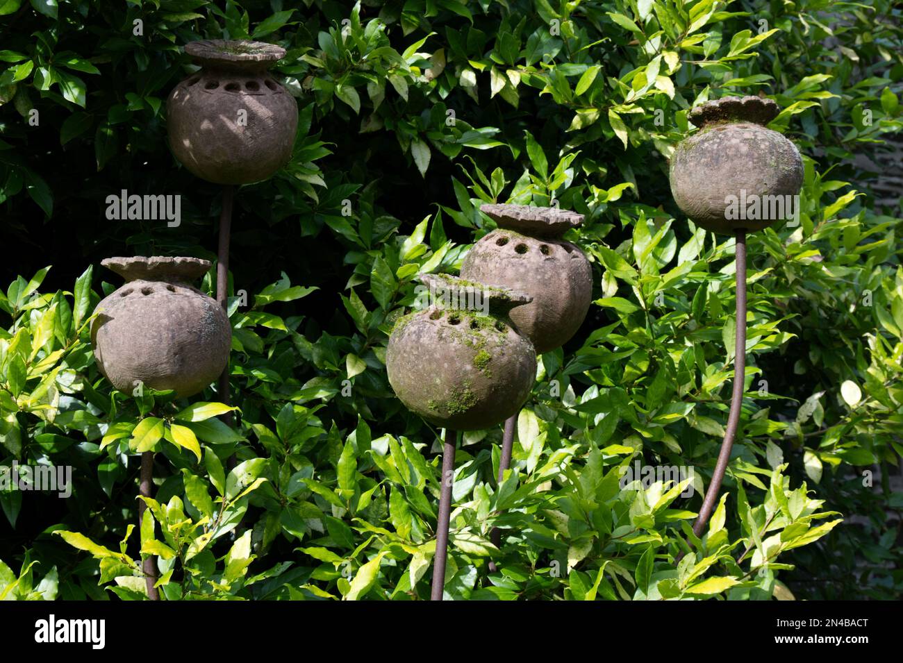 ornamental plant supports in the shape of poppy seed heads Stock Photo