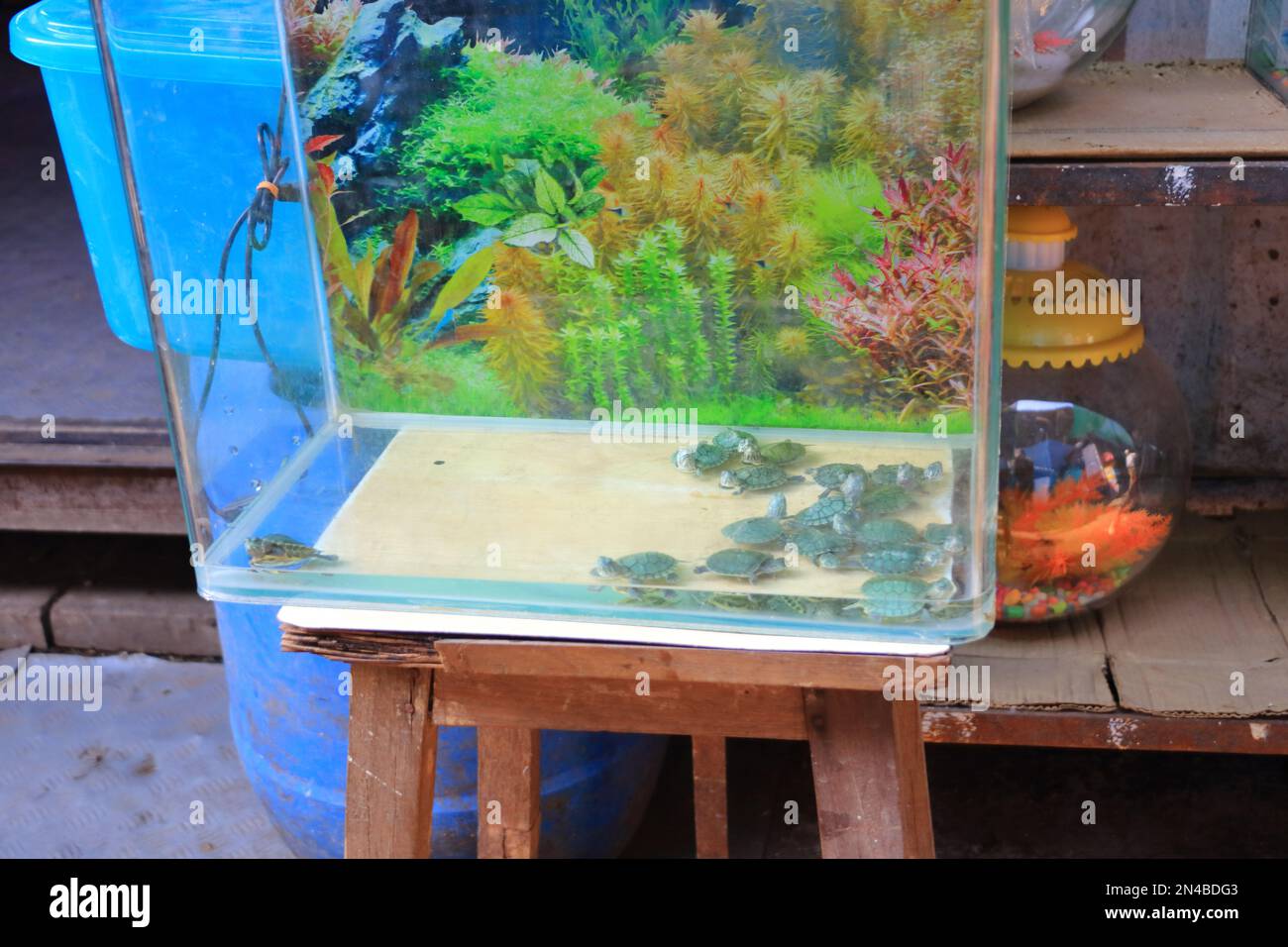 December 21 2022 Mumbai, Maharashtra in India pet shop department in