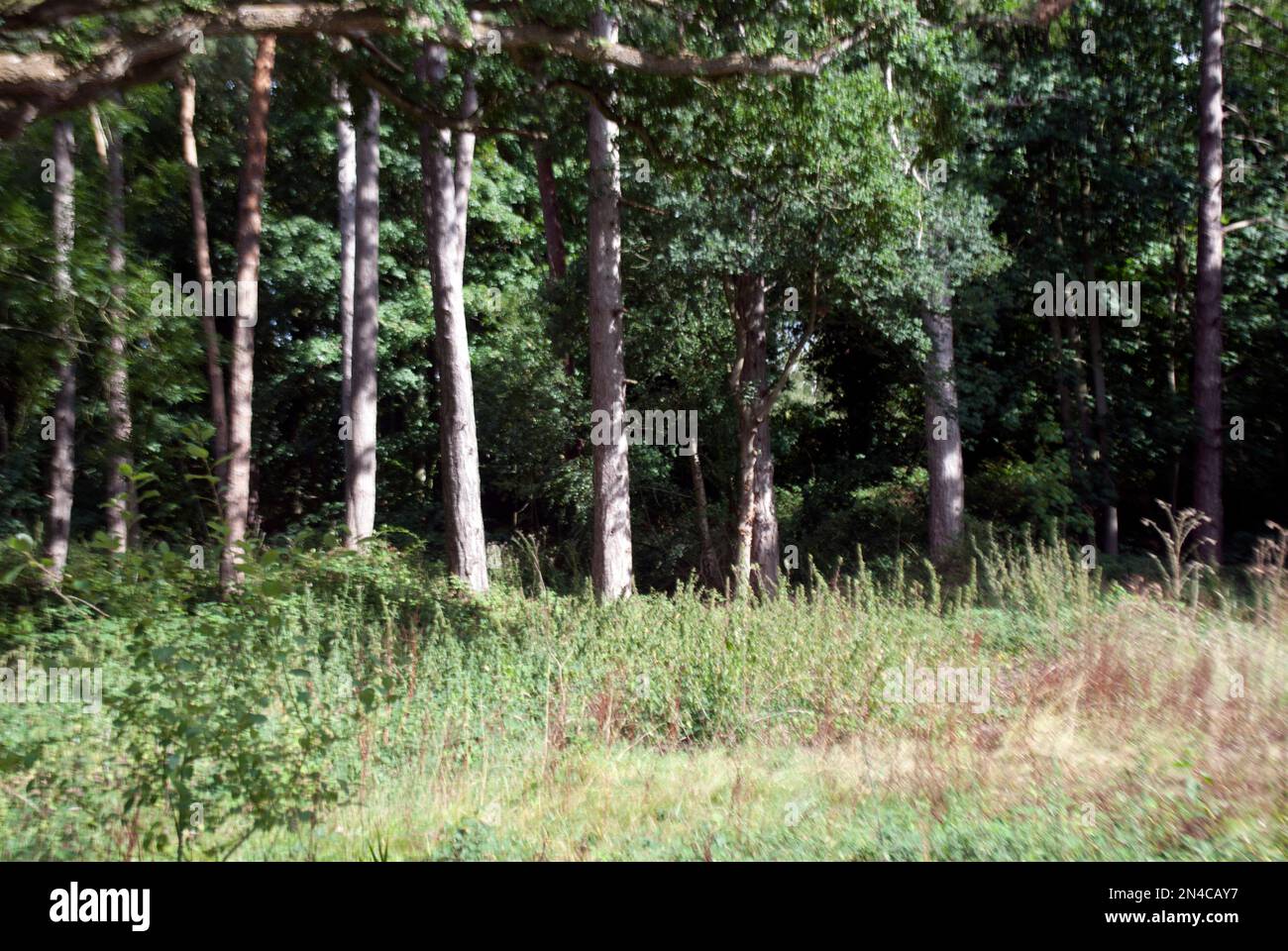 Woodhall Spa, Lincolnshire, England Stock Photo Alamy