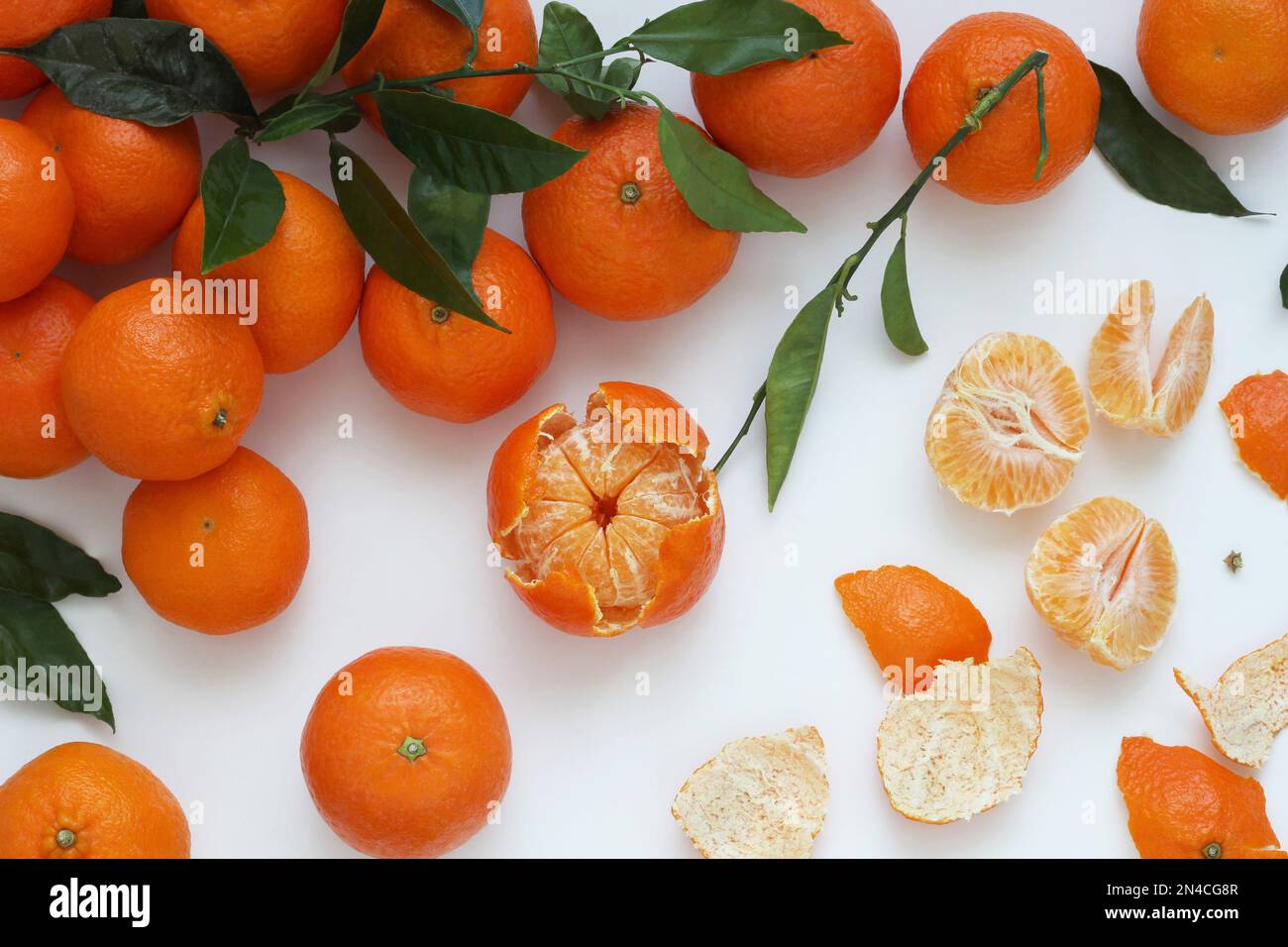 Tangerine and clementine citrus fruits with leaves on white background
