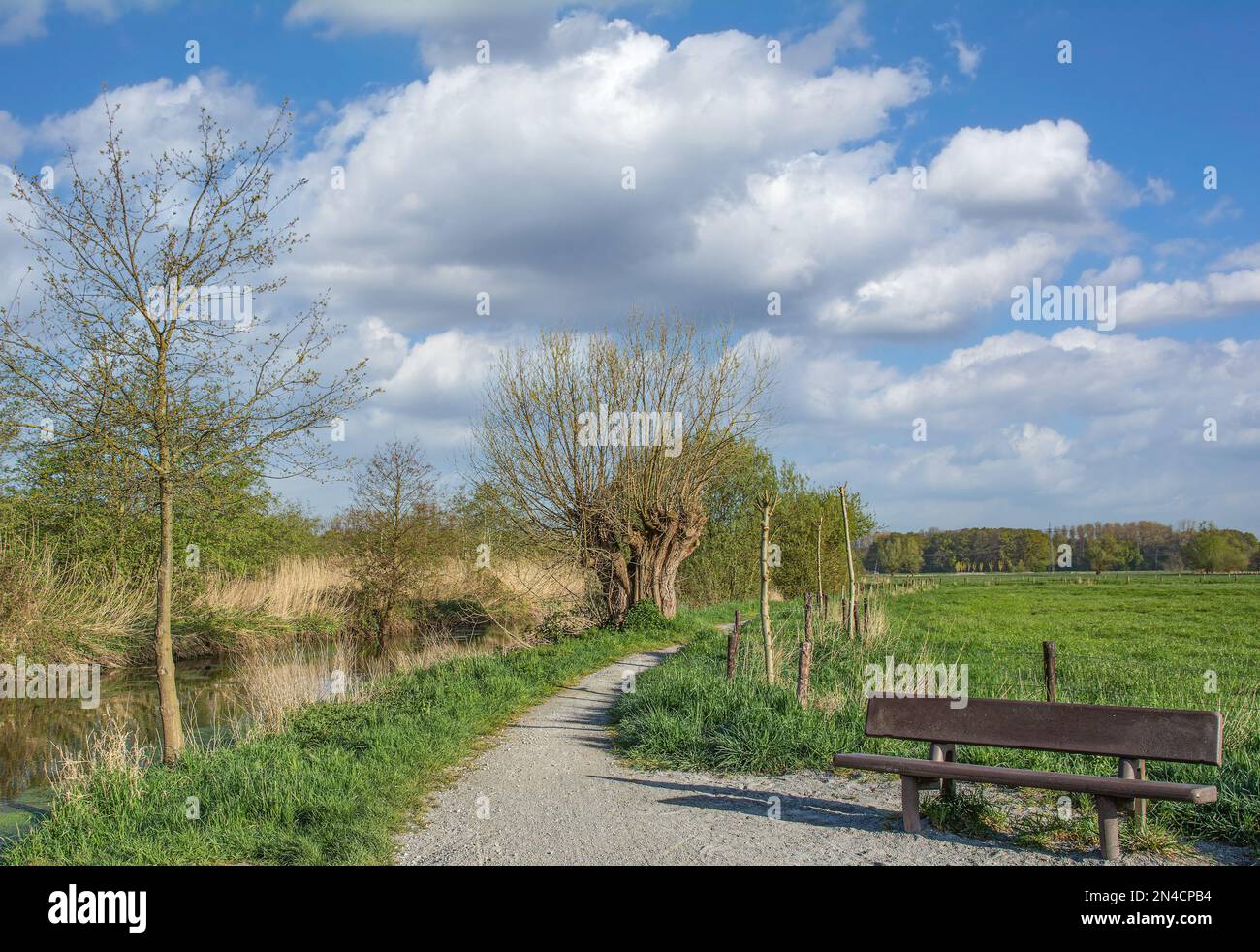 Niersaue Wachtendonk Nature Reserve,lower Rhine,Germany Stock Photo