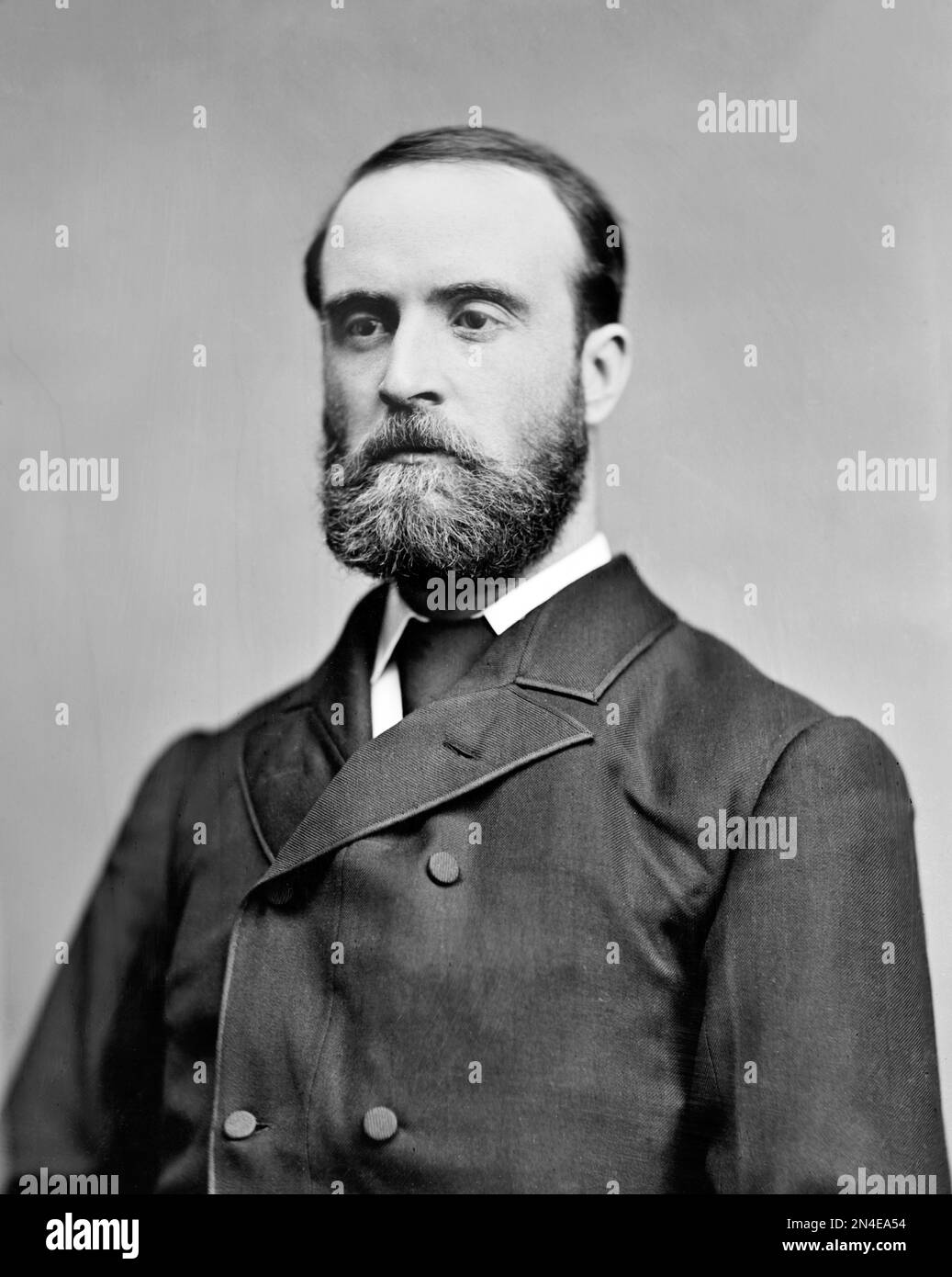 Charles Stewart Parnell. Portrait of the Irish Nationalist politician, Charles Stewart Parnell (1846-1891) by Mathew Brady, c. 1870-80 Stock Photo